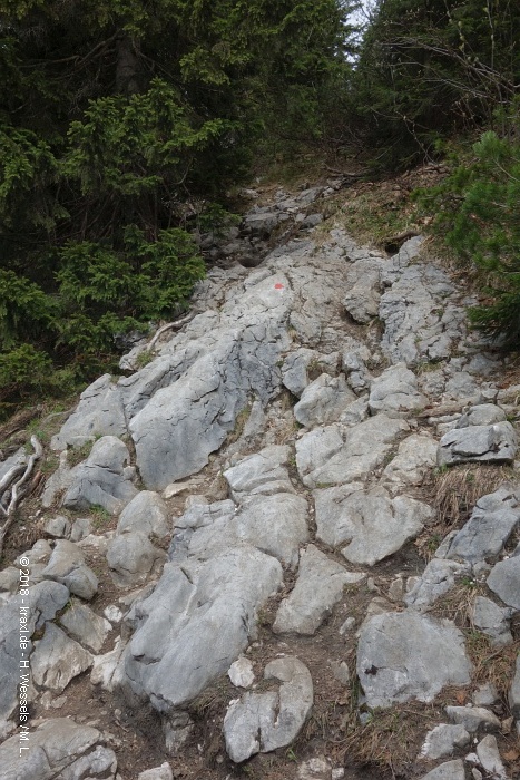 spitzstein-020.jpg