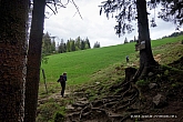 spitzstein-008.jpg