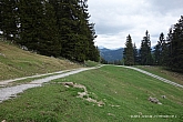 spitzstein-029.jpg