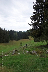 spitzstein-033.jpg