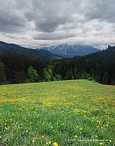 spitzstein-038.jpg