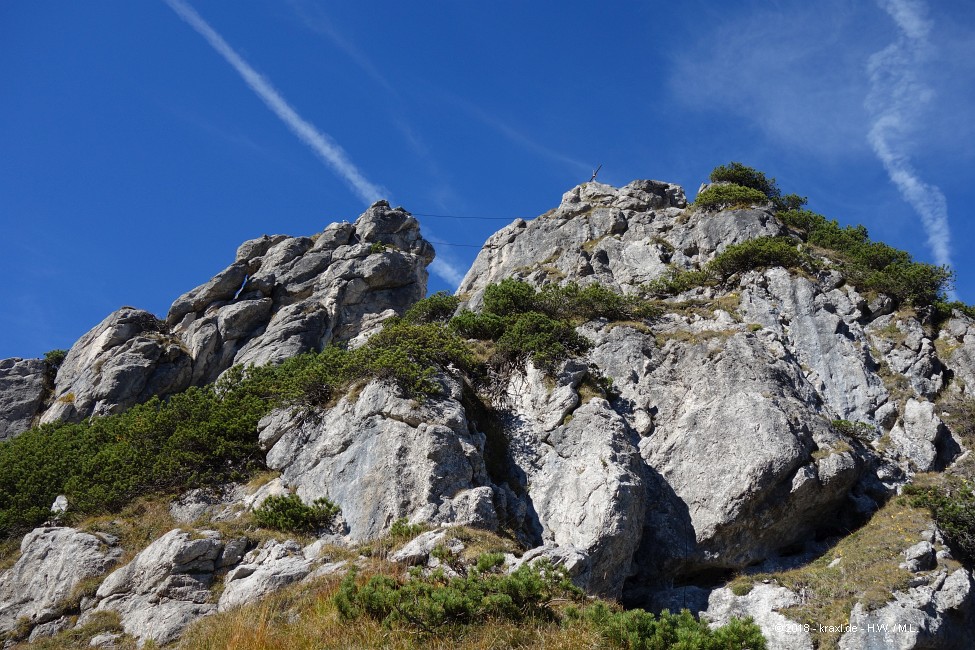 stripsenkopf-034.jpg