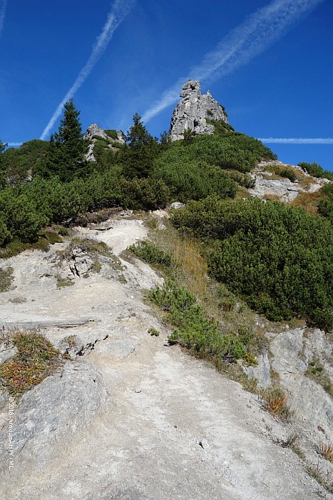 stripsenkopf-036.jpg