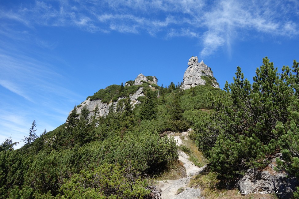 stripsenkopf-039.jpg