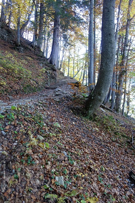 stripsenkopf-056.jpg