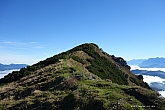 stripsenkopf-020.jpg