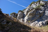 stripsenkopf-032.jpg