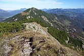 stripsenkopf-048.jpg