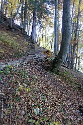 stripsenkopf-056.jpg