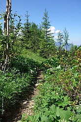 alpspitze-klettersteig-086.jpg