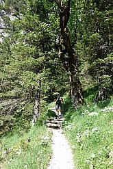 alpspitze-klettersteig-091.jpg