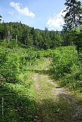 hinteres-sonnwendjoch-045.jpg