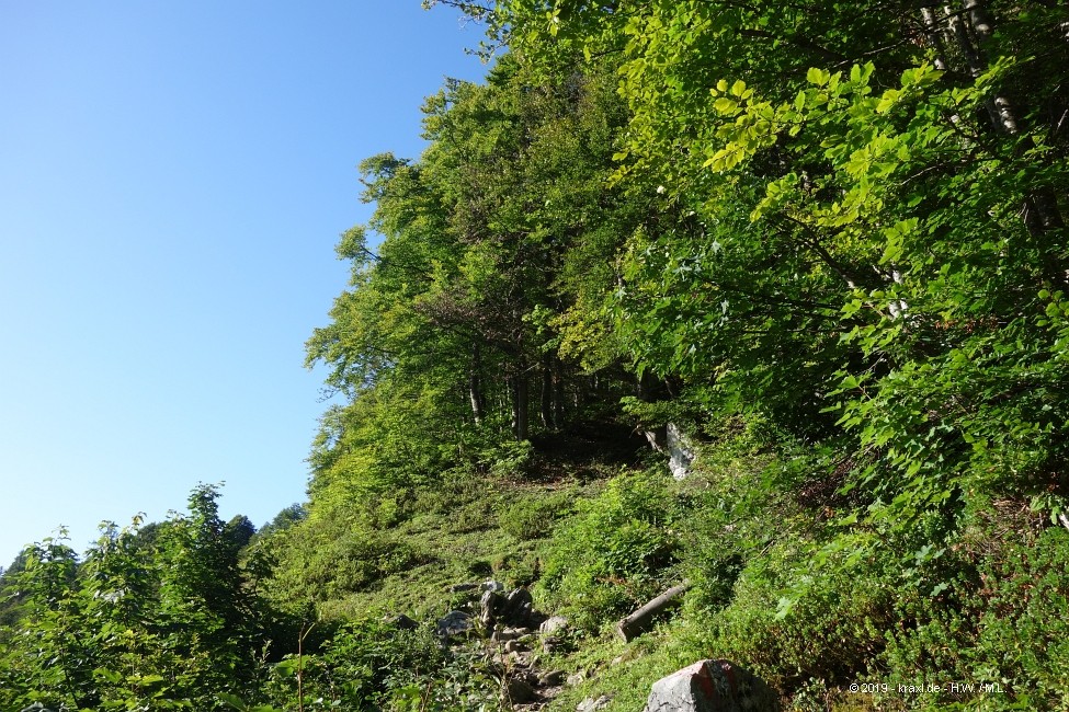 hochkoenig-013.jpg