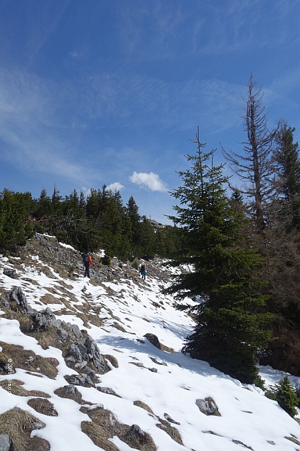 hochsalwand-035.jpg