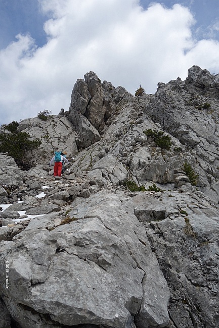 hochsalwand-049.jpg