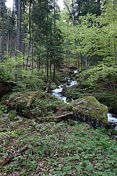 hochsalwand-009.jpg