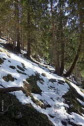 hochsalwand-032.jpg