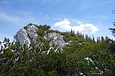 hochsalwand-038.jpg