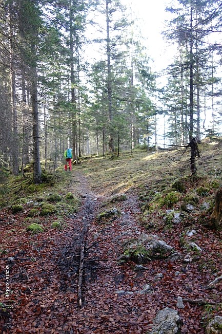 kotzen-stierjoch-041.jpg
