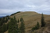 kotzen-stierjoch-024.jpg