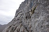 lamsenspitze-013.jpg