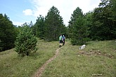 velika-paklenica-mala-paklenica-039.jpg