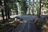 pendling-057.jpg