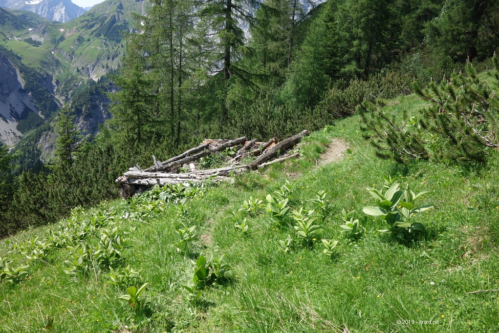 rappenspitze-066.jpg