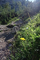rappenspitze-007.jpg