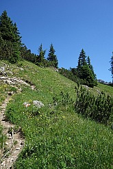 rappenspitze-017.jpg