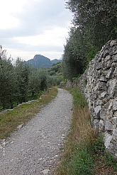 sent-degli-scaloni-dell-anglone-43.jpg