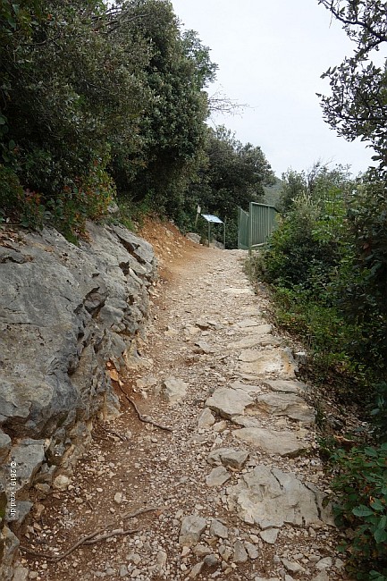 panoramico-busatte-tempesta-11.jpg
