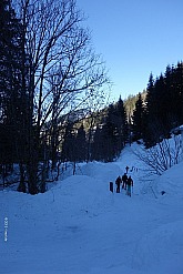 sonntagshorn-004.jpg