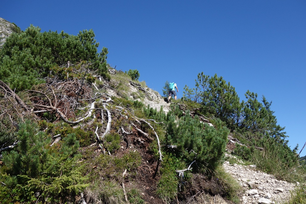 vorderer-felderkopf-027.jpg