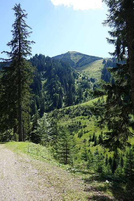 vorderer-felderkopf-055.jpg