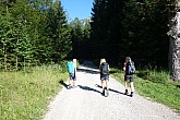 vorderer-felderkopf-003.jpg