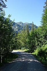 vorderer-felderkopf-008.jpg