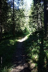 vorderer-felderkopf-015.jpg