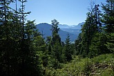 vorderer-felderkopf-017.jpg
