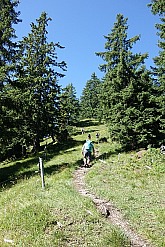 vorderer-felderkopf-025.jpg