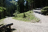 vorderer-felderkopf-054.jpg