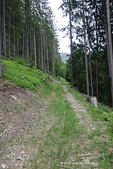 wiedersbergerhorn-009.jpg