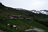 wiedersbergerhorn-013.jpg