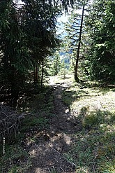 wildalpjoch-035.jpg