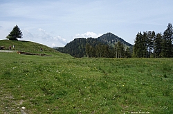 fockenstein-020.jpg