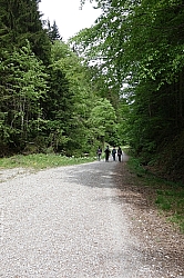 fockenstein-043.jpg