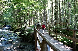 hennenkopf-laubeneck-001.jpg