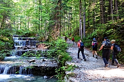 hennenkopf-laubeneck-002.jpg