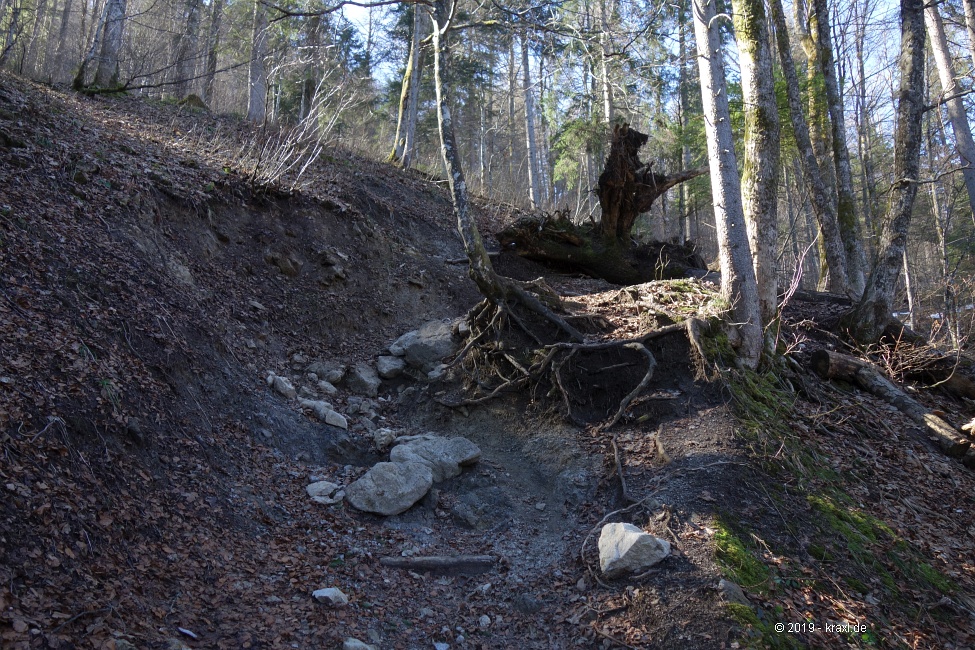 koenigsalm-graseck-10.jpg