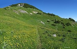 marbichler-spitze-kafell-018.jpg